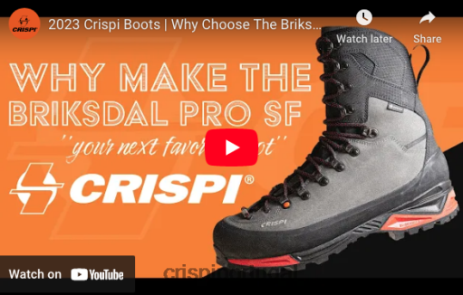 botas cinza Crispi briksdal pro sf gtx VJ48B3