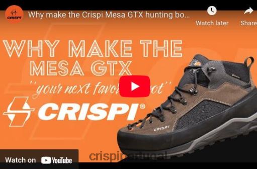 botas marrom Crispi mesa gtx VJ48B62